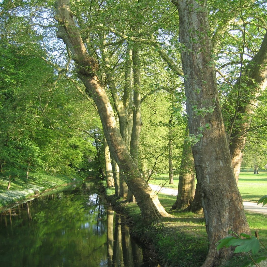 Arboretum de Segrez 2